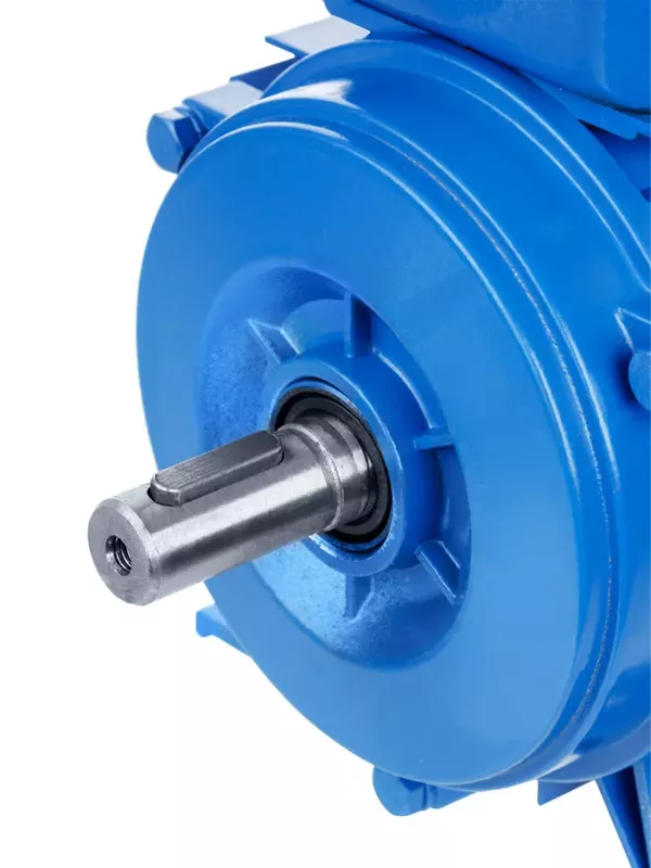 Электродвигатель АИР 100L6 3ф 2.2 кВт 1000 об/мин 1081 TDM