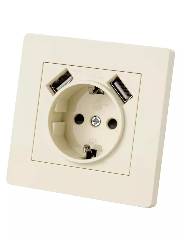 Розетка 2П+З 16А 250В + 2 USB порта 2,1А 5В сл. кость "Сенеж" TDM