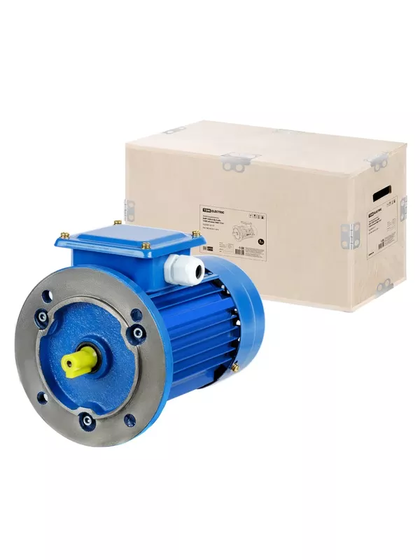 Электродвигатель АИР 100L4 3ф 4 кВт 1500 об/мин 3081 TDM