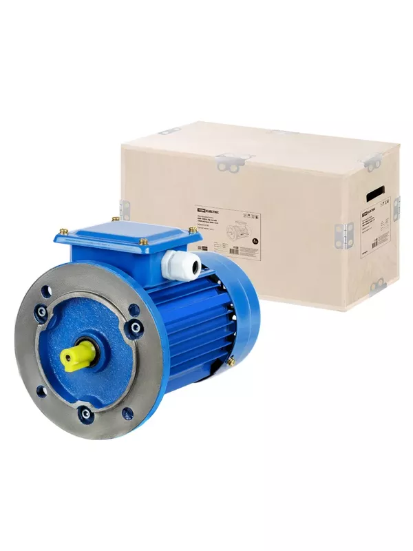 Электродвигатель АИР 100L6 3ф 2,2 кВт 1000 об/мин 3081 TDM